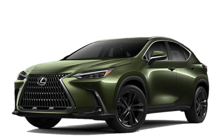 NX Hybrid